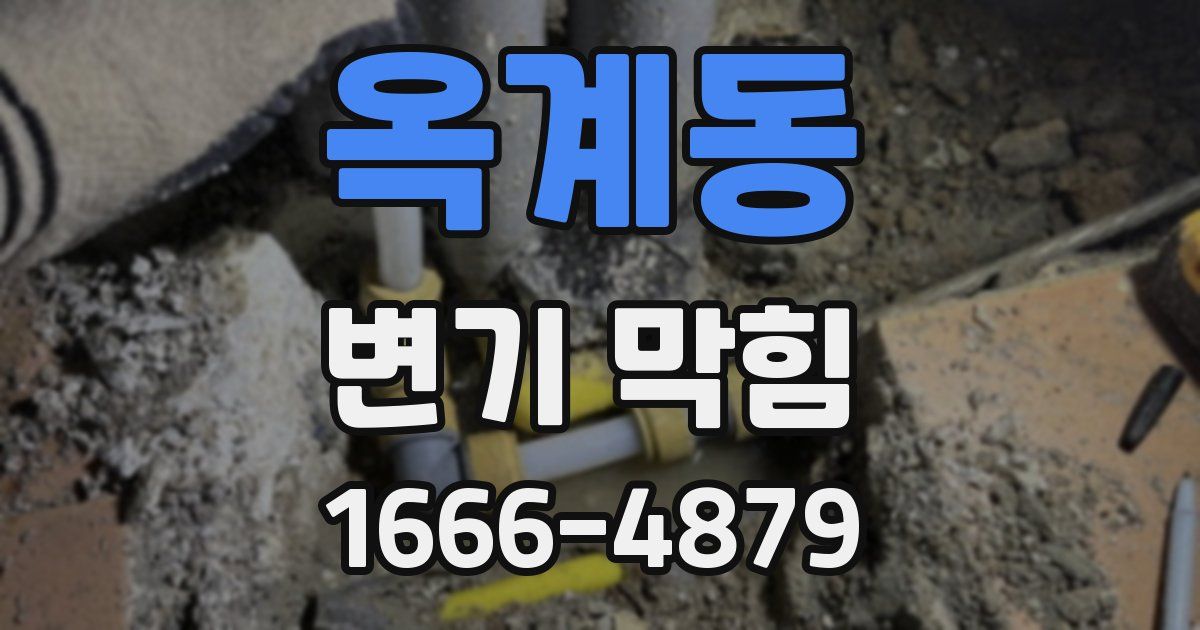 옥계동 변기 막힘