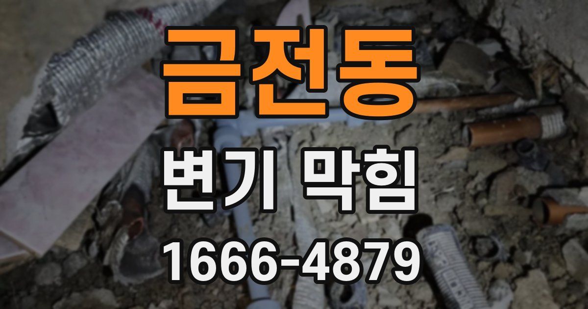 금전동 변기 막힘