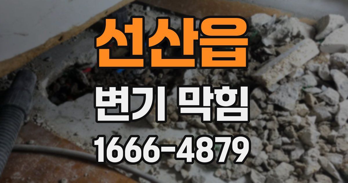 선산읍 변기 막힘