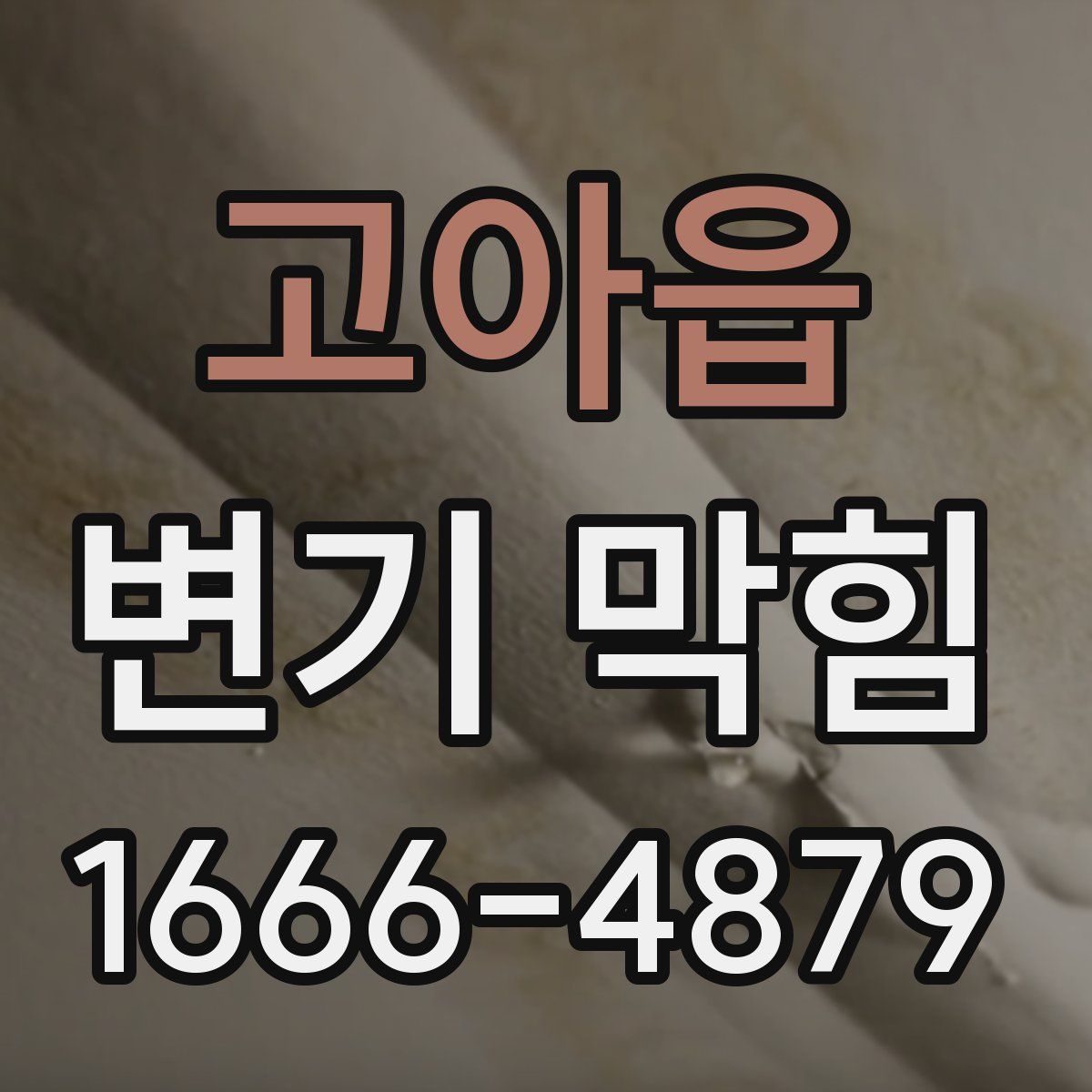 고아읍 변기 막힘