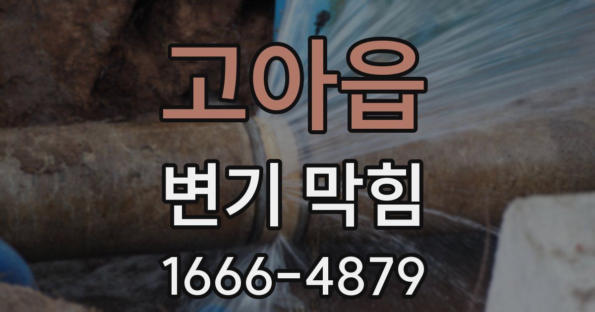 고아읍 변기 막힘