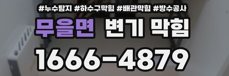 무을면 변기 막힘
