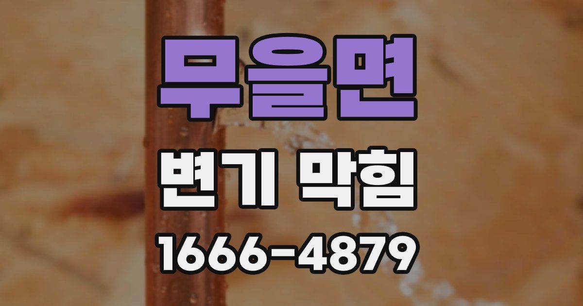 무을면 변기 막힘