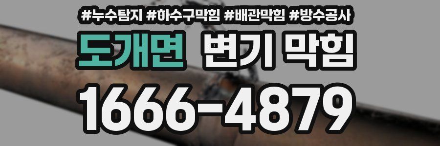 도개면 변기 막힘