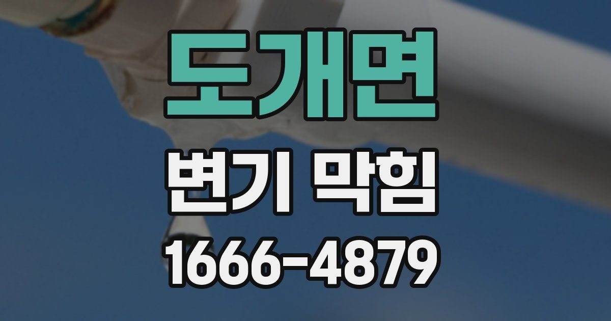 도개면 변기 막힘