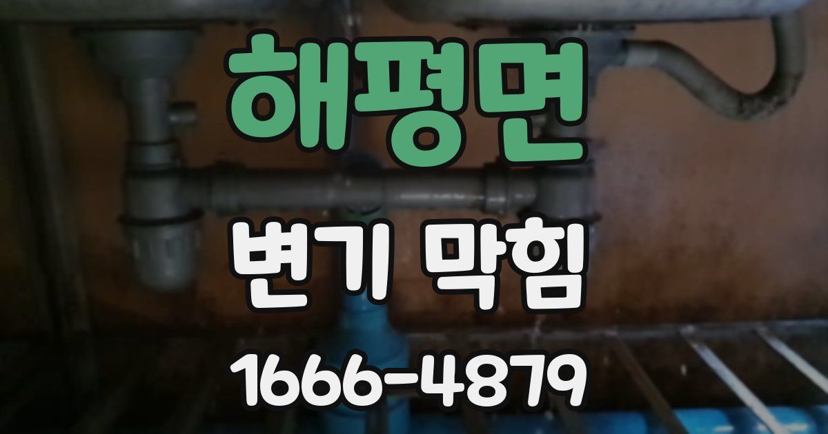 해평면 변기 막힘