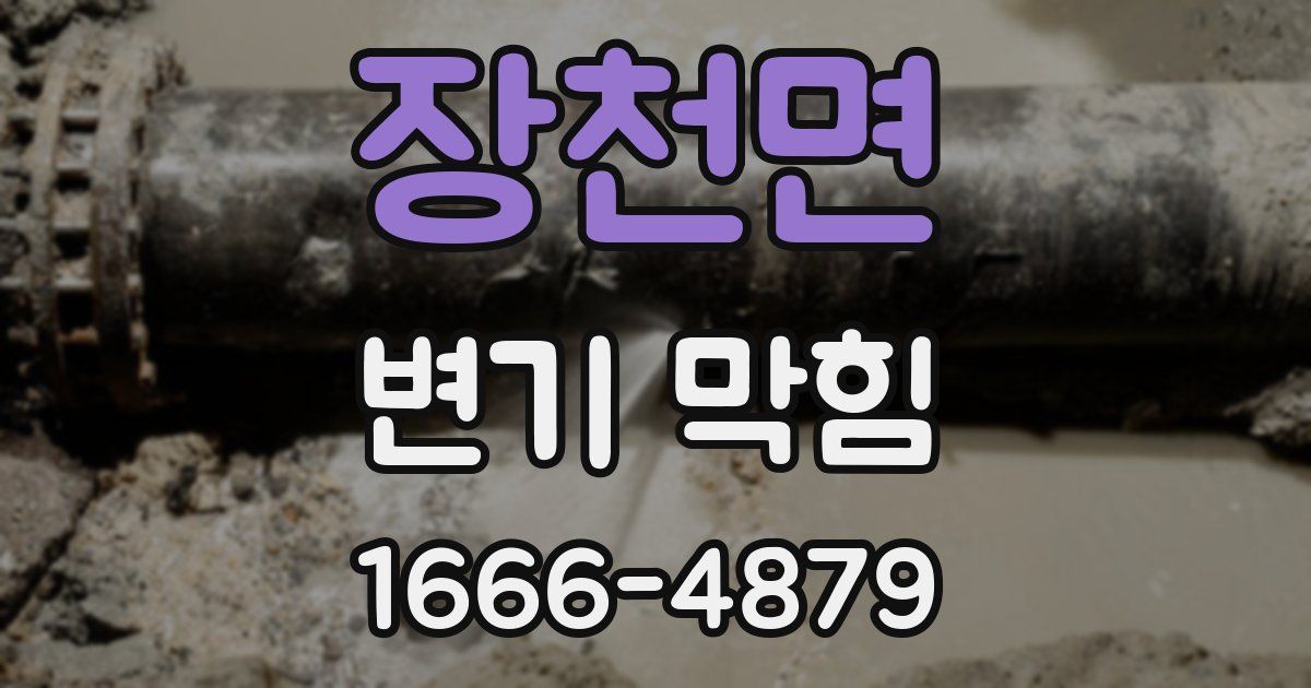 장천면 변기 막힘