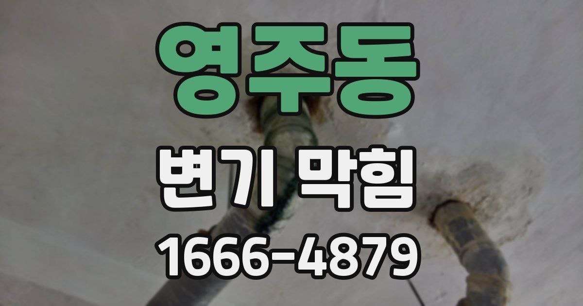 영주동 변기 막힘