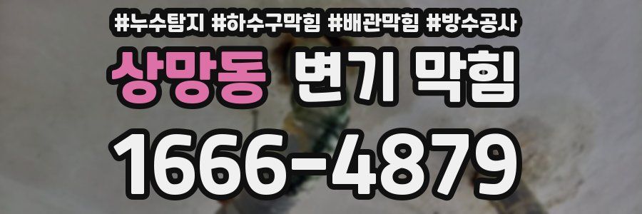 상망동 변기 막힘