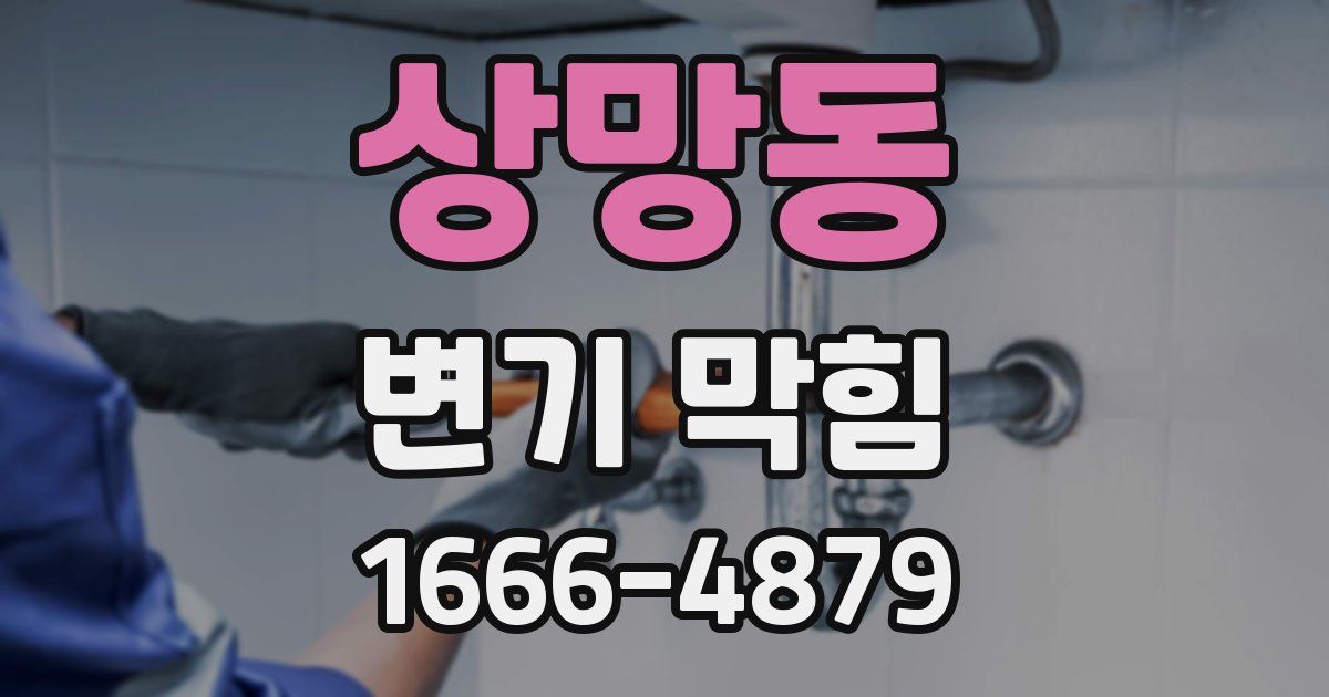 상망동 변기 막힘