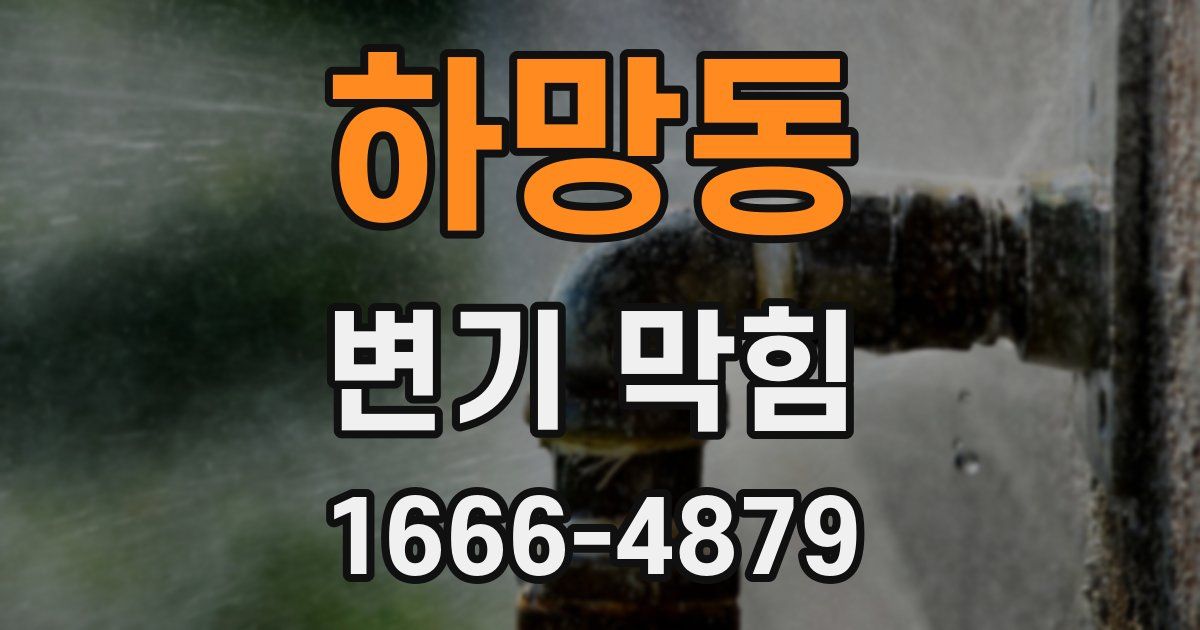 하망동 변기 막힘