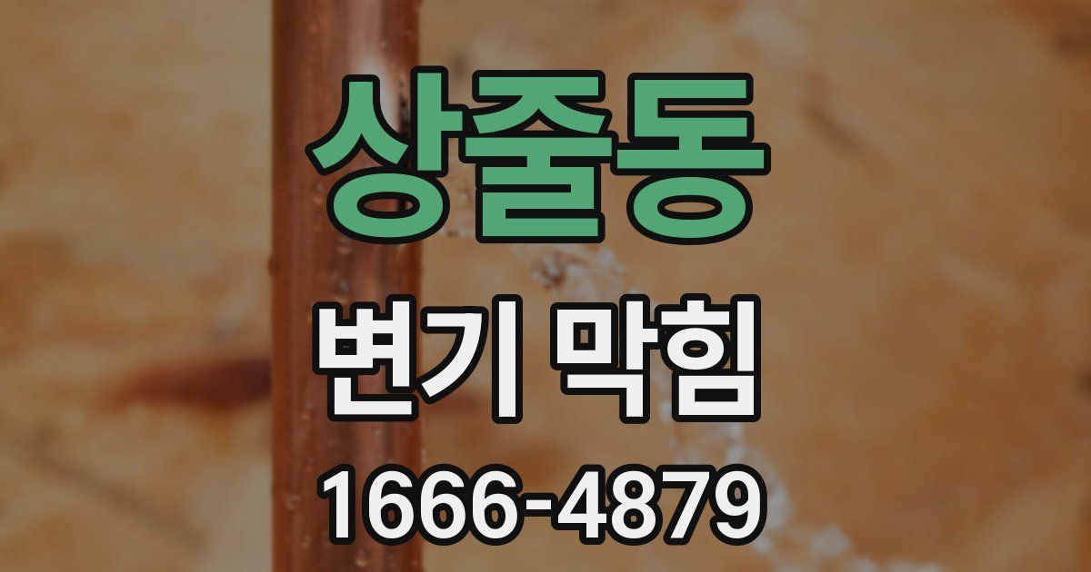 상줄동 변기 막힘