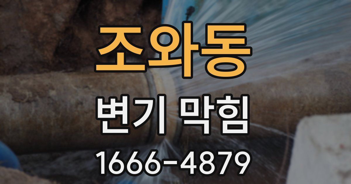 조와동 변기 막힘