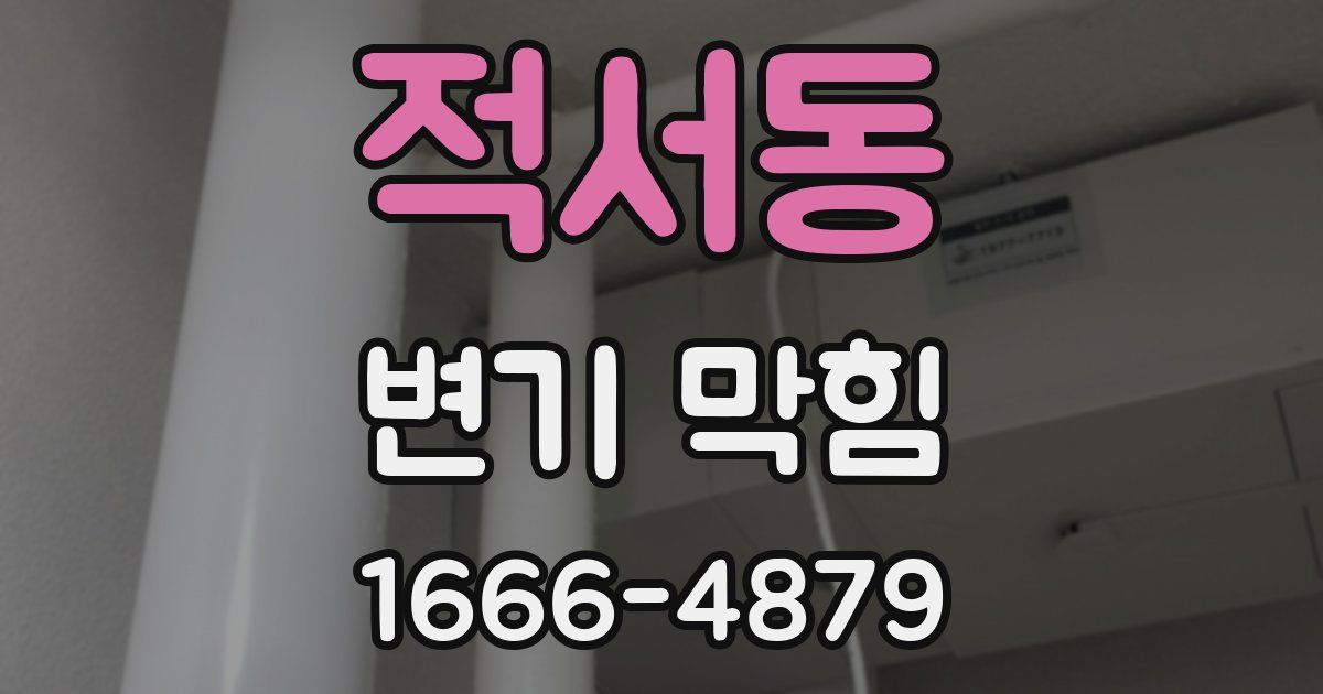 적서동 변기 막힘