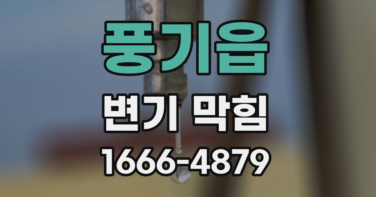 풍기읍 변기 막힘