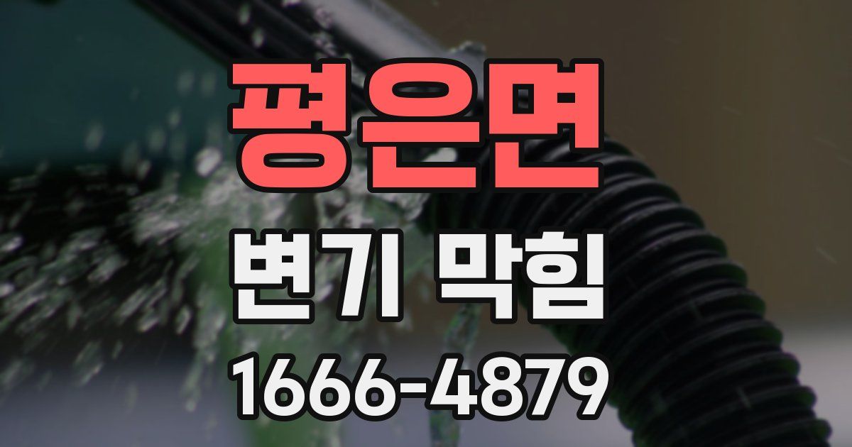 평은면 변기 막힘