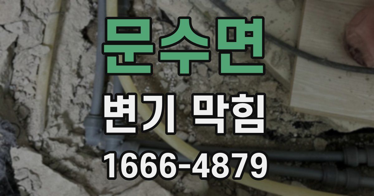문수면 변기 막힘