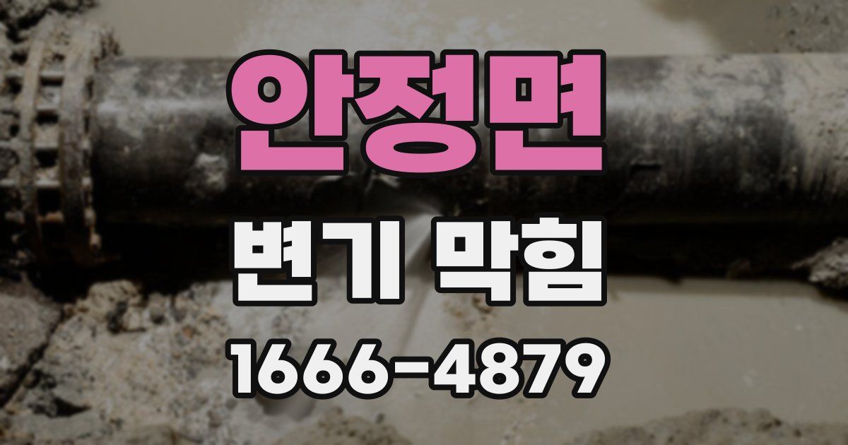 안정면 변기 막힘