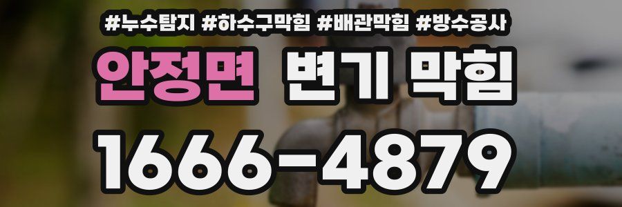 안정면 변기 막힘