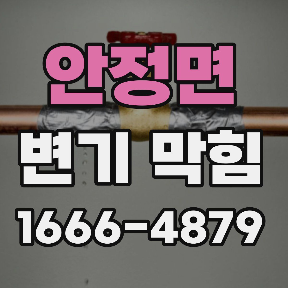 안정면 변기 막힘