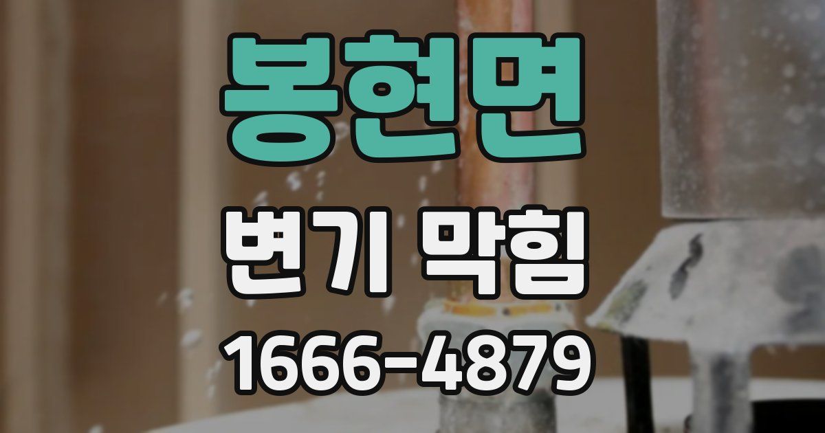 봉현면 변기 막힘