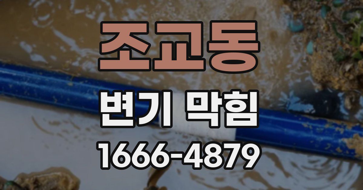 조교동 변기 막힘