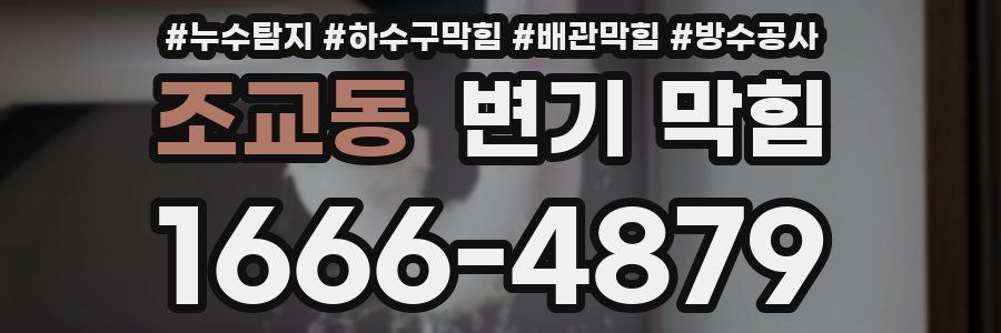 조교동 변기 막힘