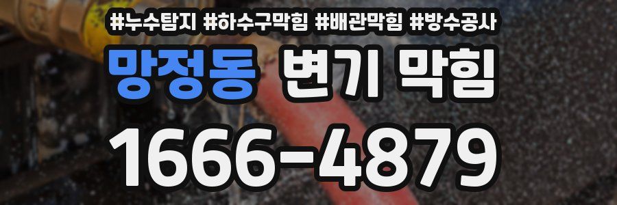 망정동 변기 막힘