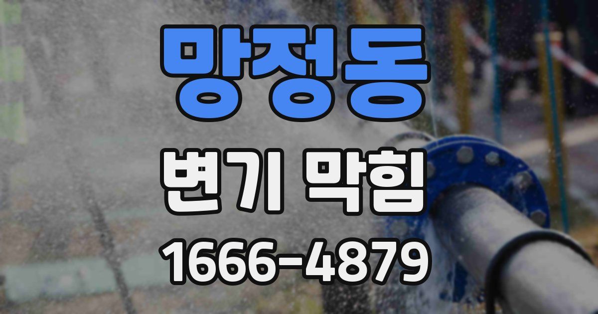 망정동 변기 막힘