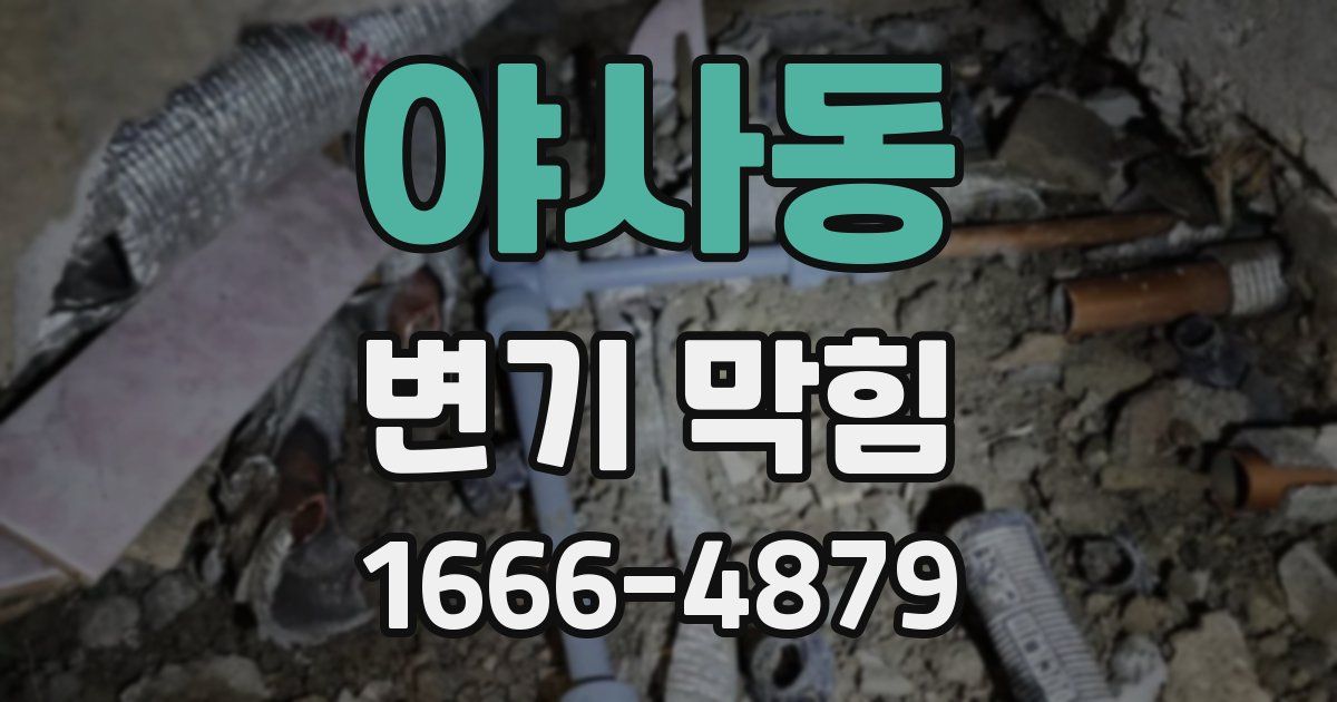 야사동 변기 막힘