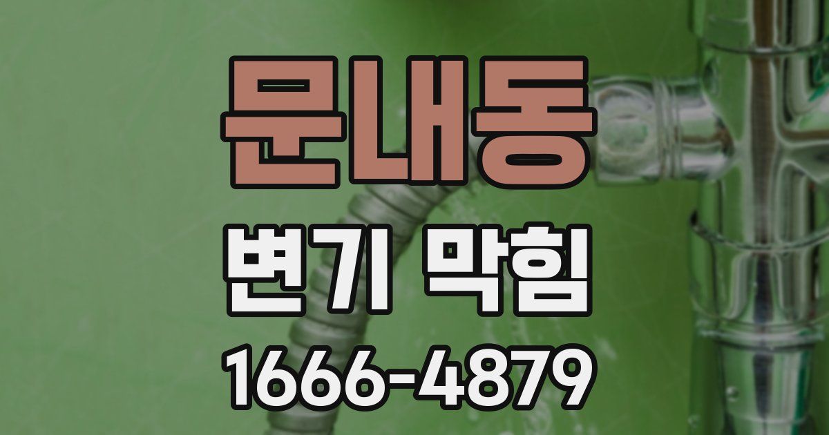 문내동 변기 막힘