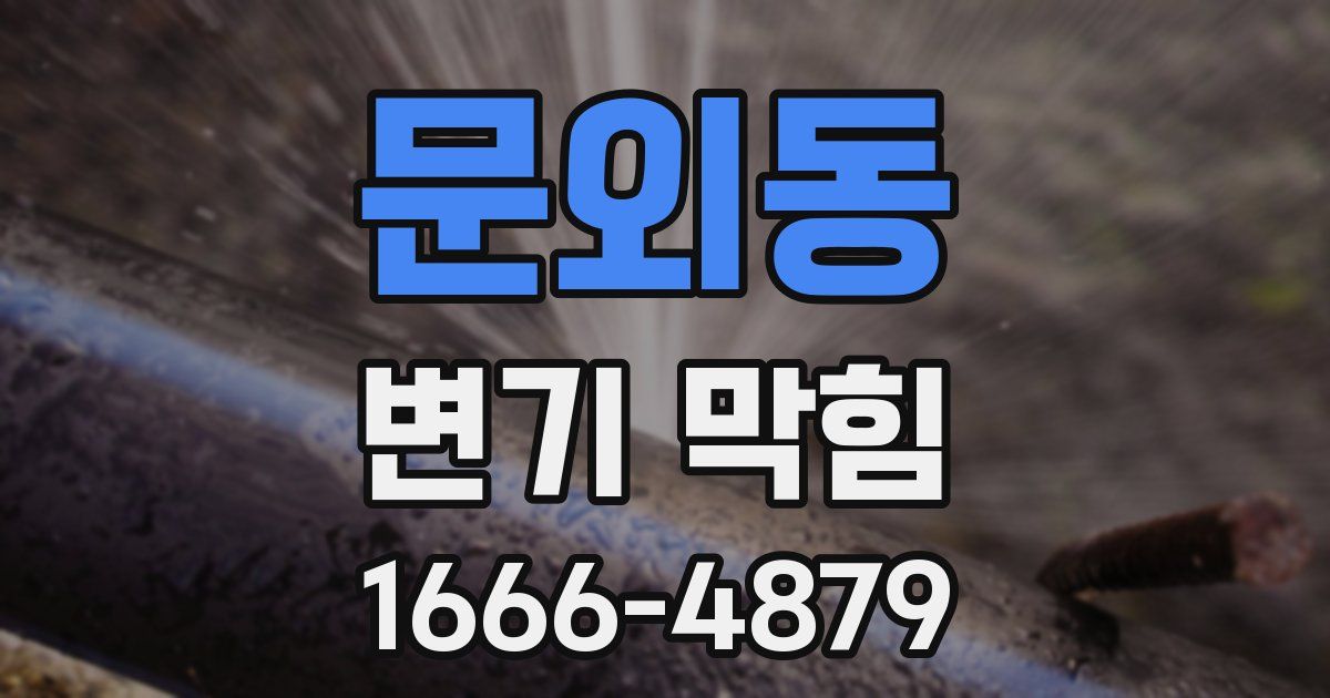 문외동 변기 막힘