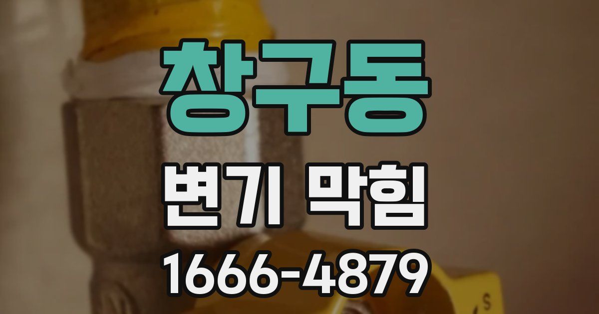창구동 변기 막힘