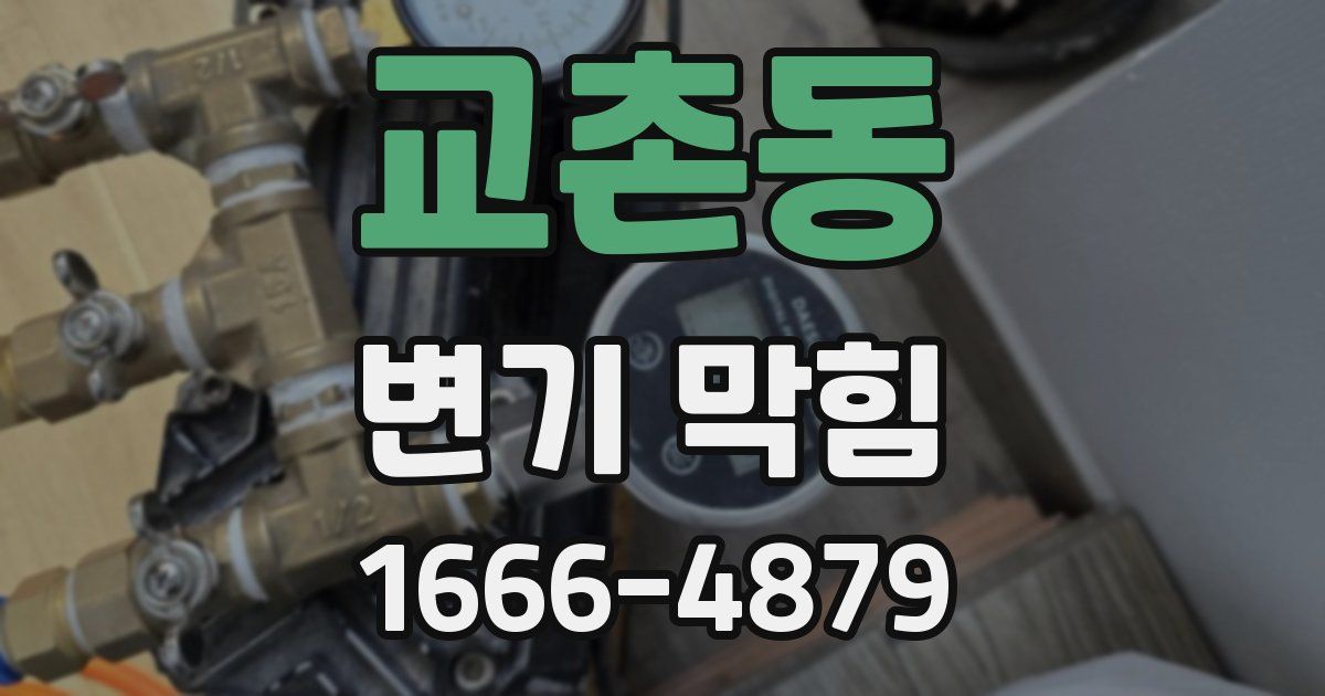 교촌동 변기 막힘
