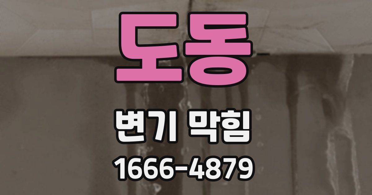 도동 변기 막힘