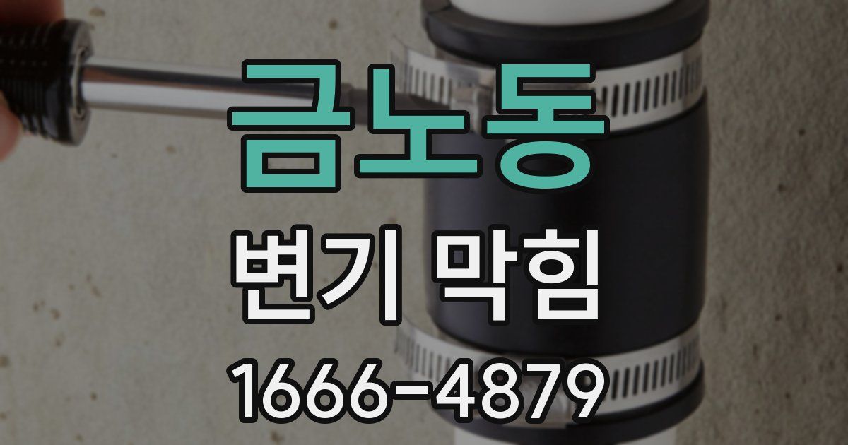 금노동 변기 막힘