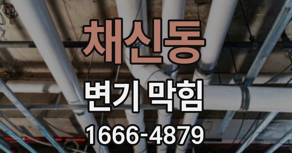 채신동 변기 막힘