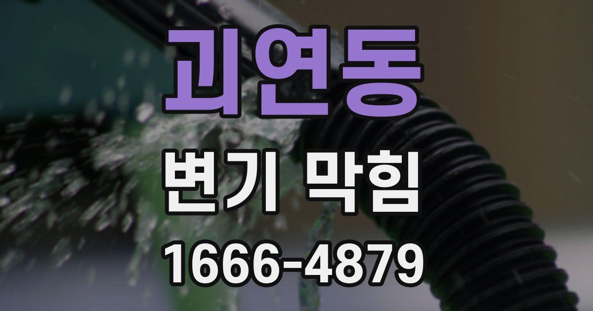 괴연동 변기 막힘