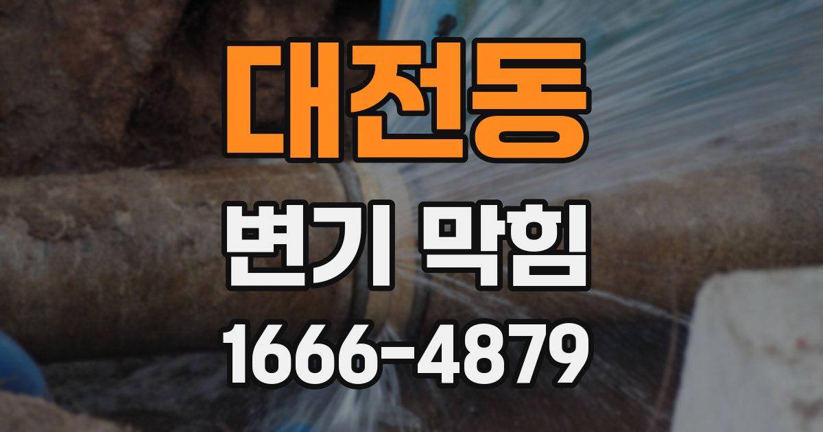 대전동 변기 막힘