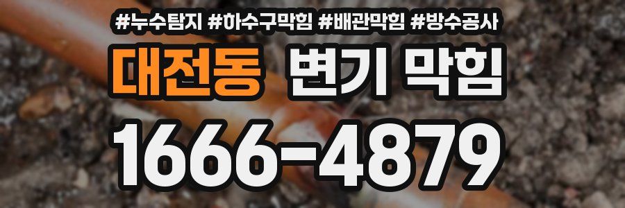 대전동 변기 막힘