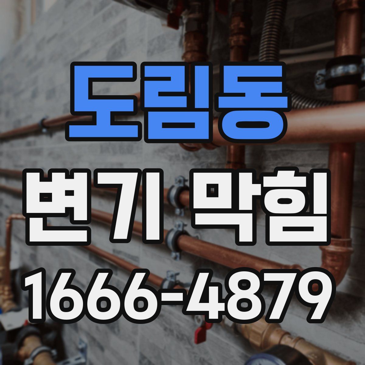 도림동 변기 막힘