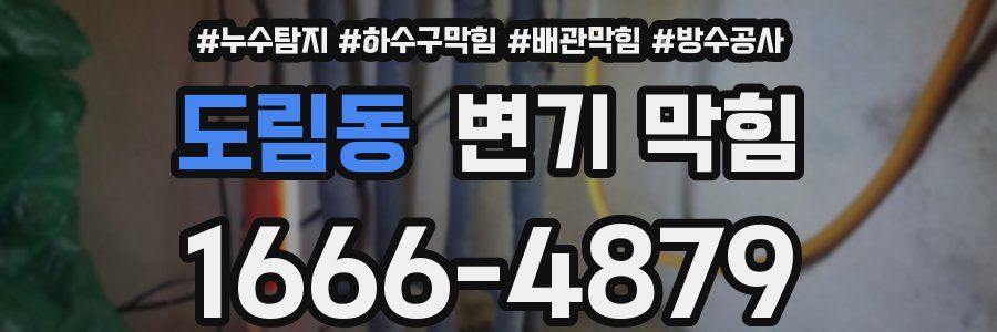 도림동 변기 막힘