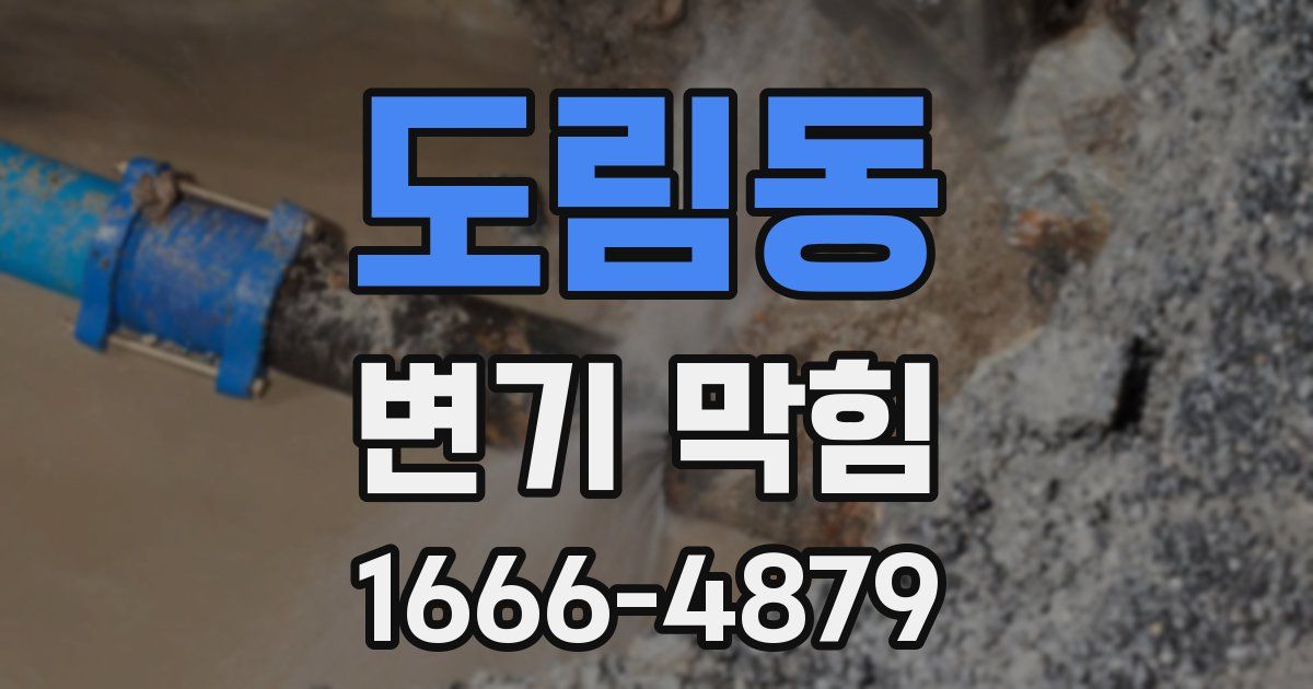 도림동 변기 막힘
