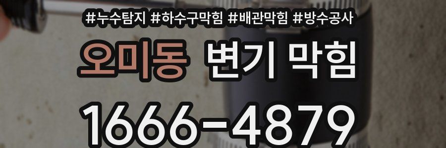 오미동 변기 막힘