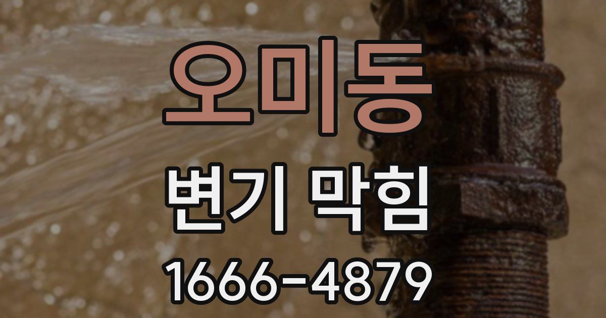 오미동 변기 막힘