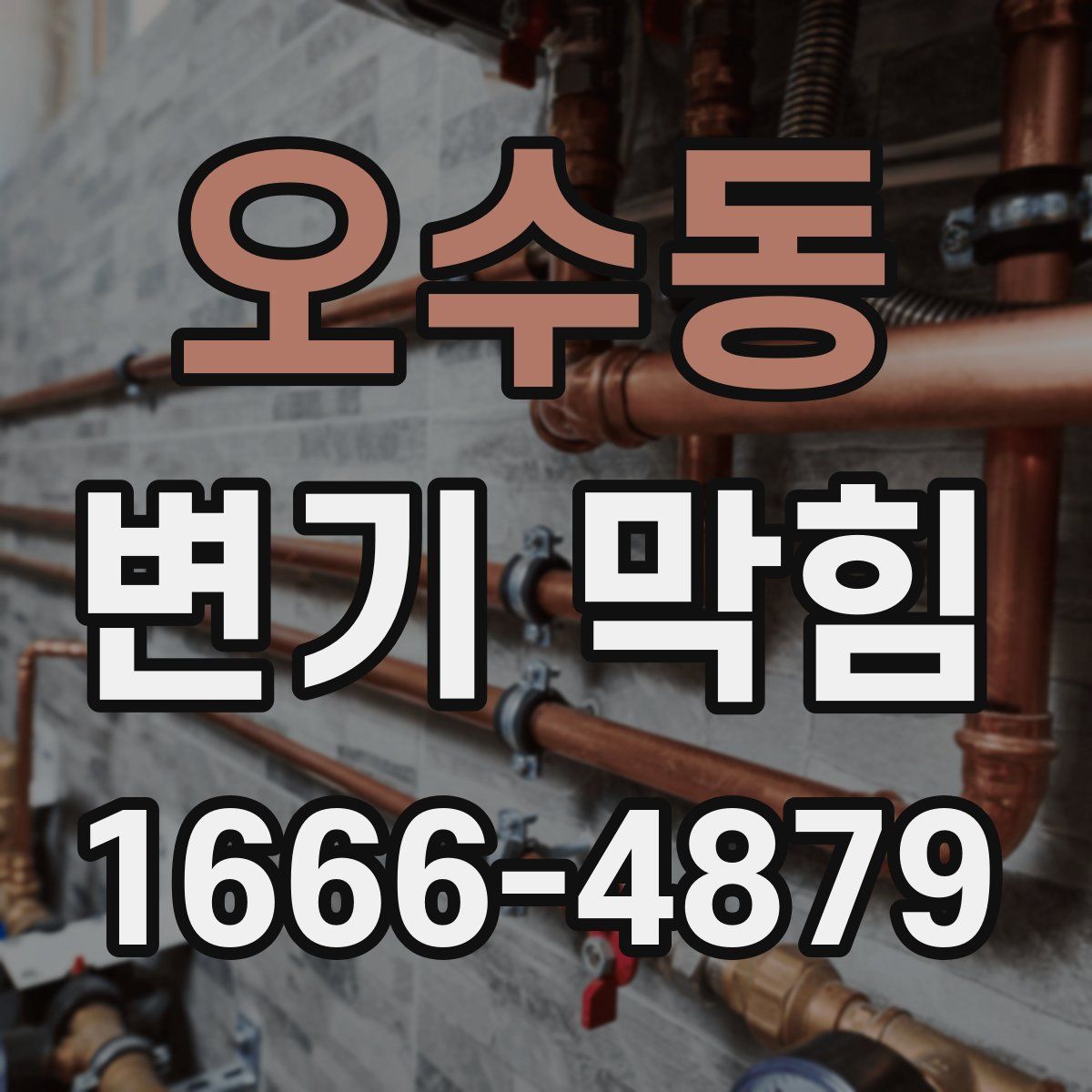 오수동 변기 막힘