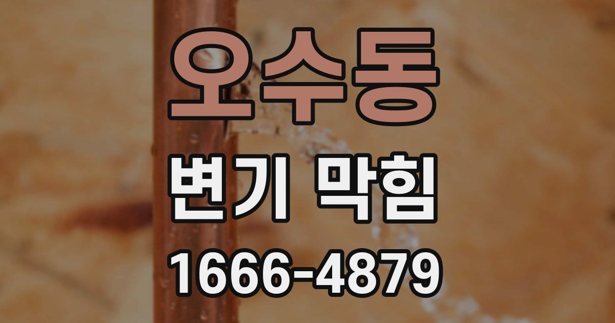 오수동 변기 막힘