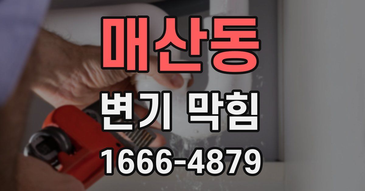 매산동 변기 막힘