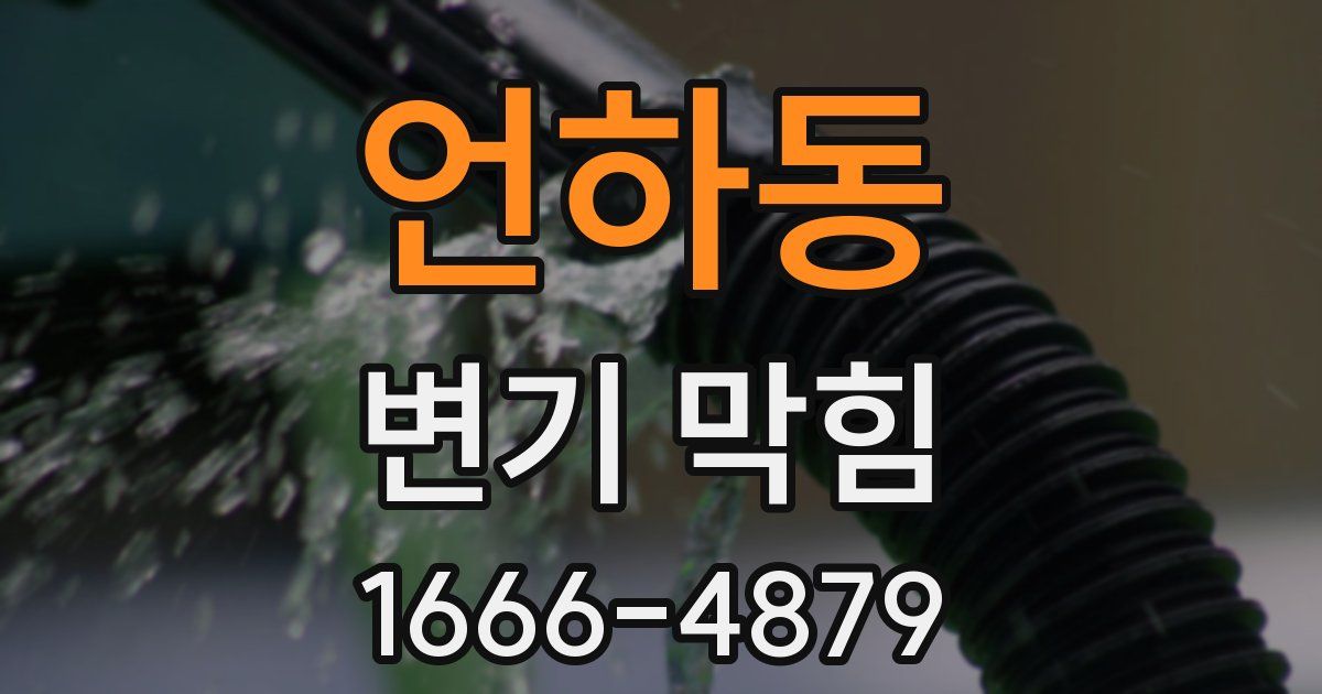 언하동 변기 막힘