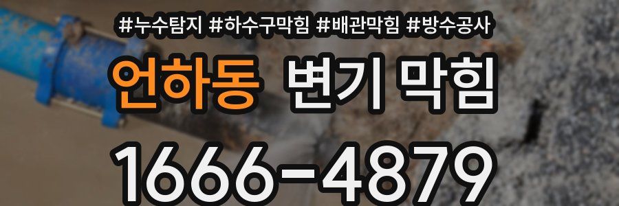 언하동 변기 막힘